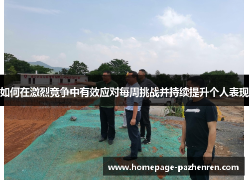 如何在激烈竞争中有效应对每周挑战并持续提升个人表现