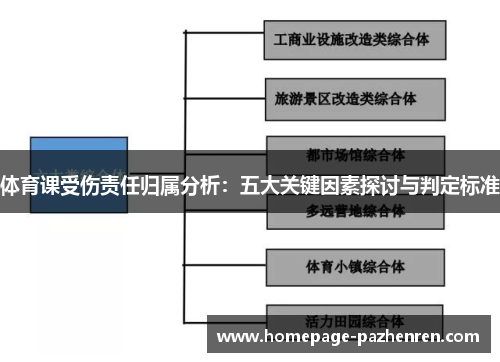 体育课受伤责任归属分析：五大关键因素探讨与判定标准