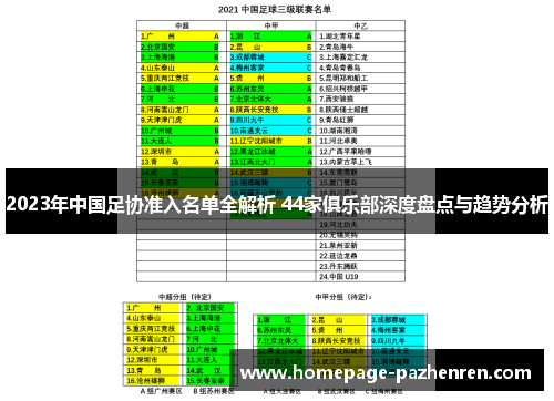 2023年中国足协准入名单全解析 44家俱乐部深度盘点与趋势分析