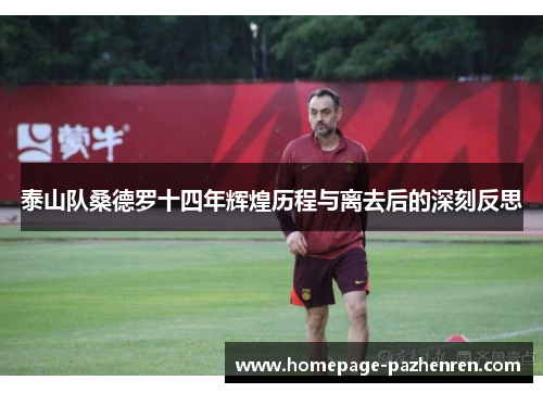 泰山队桑德罗十四年辉煌历程与离去后的深刻反思