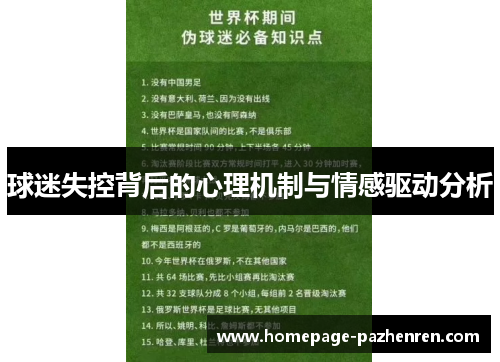 球迷失控背后的心理机制与情感驱动分析