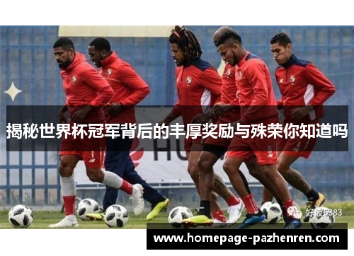 揭秘世界杯冠军背后的丰厚奖励与殊荣你知道吗