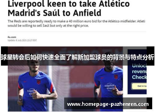 球星转会后如何快速全面了解新加盟球员的背景与特点分析