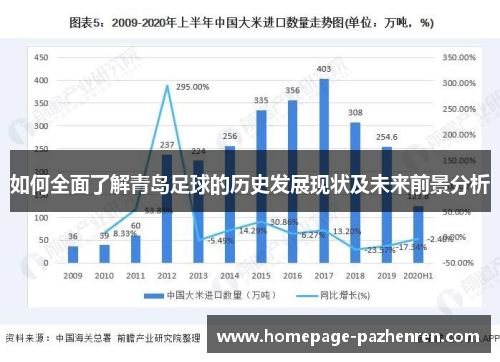 如何全面了解青岛足球的历史发展现状及未来前景分析