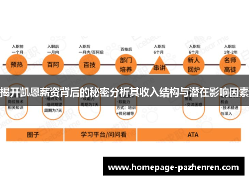 揭开凯恩薪资背后的秘密分析其收入结构与潜在影响因素