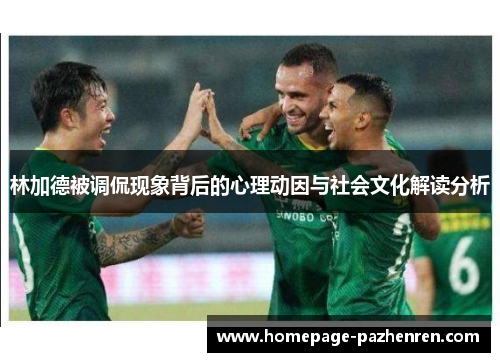 林加德被调侃现象背后的心理动因与社会文化解读分析