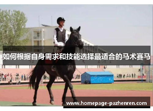 如何根据自身需求和技能选择最适合的马术赛马