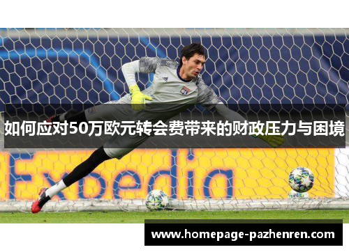 如何应对50万欧元转会费带来的财政压力与困境