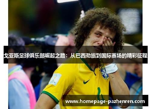 戈亚斯足球俱乐部崛起之路：从巴西劲旅到国际赛场的精彩征程