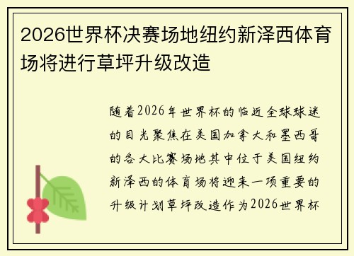 2026世界杯决赛场地纽约新泽西体育场将进行草坪升级改造
